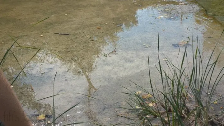 Fifi walking and splashing in the creek in black knee high boots to see how waterproof they are they