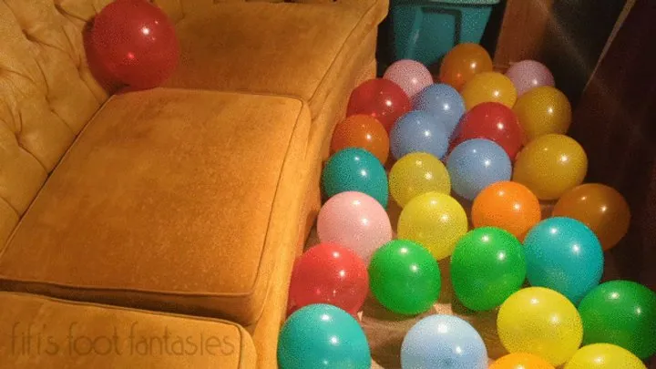 Fifi comes home to a mess of balloons on the floor after a party and starts stomping them until they pop