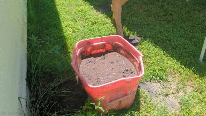 Fifi loses her brown peep toe heels in sticky deep mud