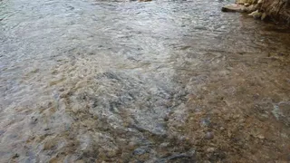 Fifi wearing socks with her sandals and getting them wet in the creek