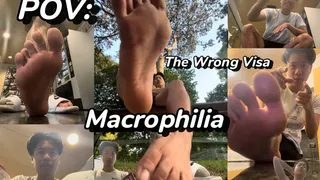 POV MACROPHILIA: The Wrong Visa