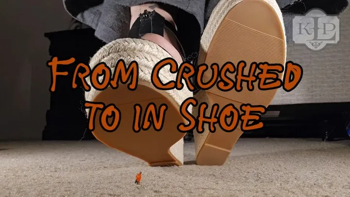 From Crushed to In-shoe