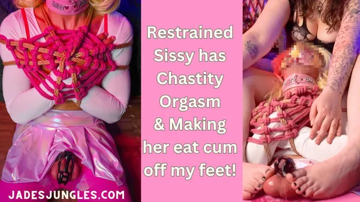 Restrained Sissy has Chastity Orgasm & Eats it off my Feet!