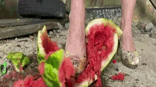 Jeanette's Watermelon FunMP4