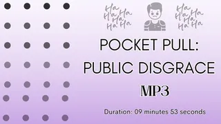 Pocket Pull: Public Disgrace MP3