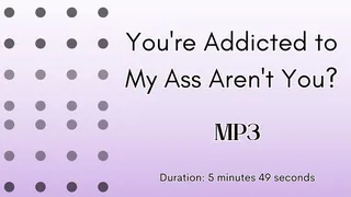 You're Addicted to My Ass, Aren't You? MP3