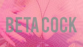 Beta Cock