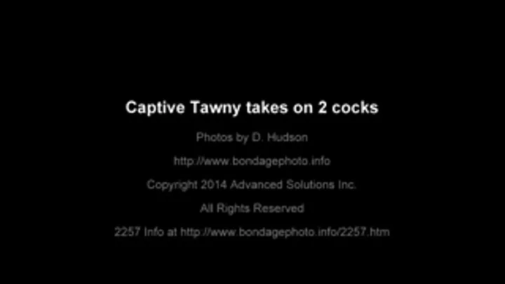 Captive bound for sex: Tawny Ocean