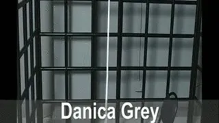 Danica Grey: bound and punished