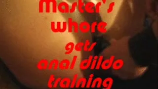 Master's Whore anal dildo