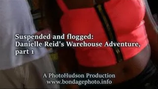 Suspended and flogged: Danielle Reid's Warehouse Adventure, part 1