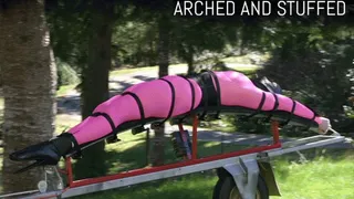 Extreme Bondage Clip1- Arched and Stuffed, Human Landmore with Anastasia Pierce for House of Gord