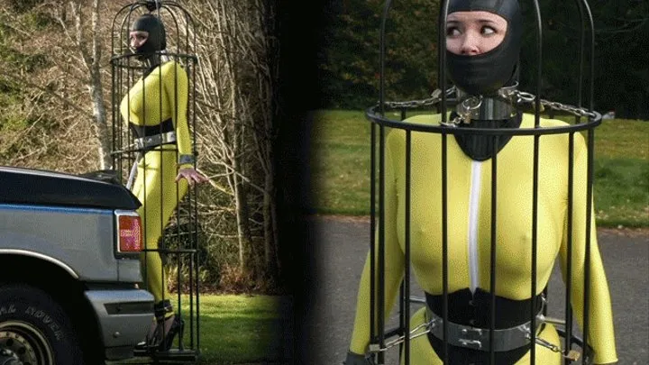 Extreme Bondage Clip 4- Caged Ride and Hood Ornament with Anastasia Pierce for House of Gord