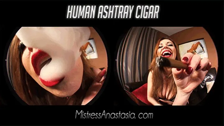 Human Ashtray Cigar, POV 3D effect /