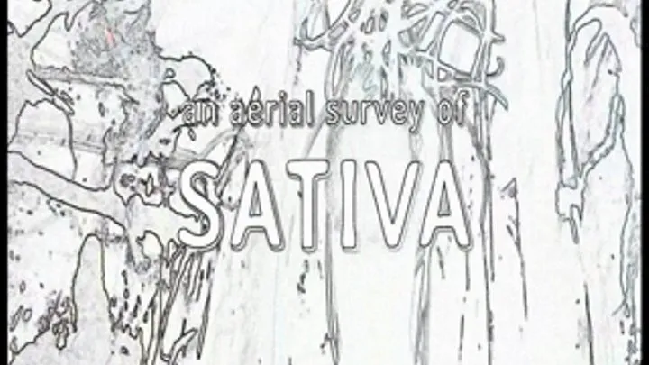 Deflowering Sativa Verte's Fetishes