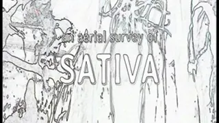 Aerial Survey of Sativa - Sketch Version