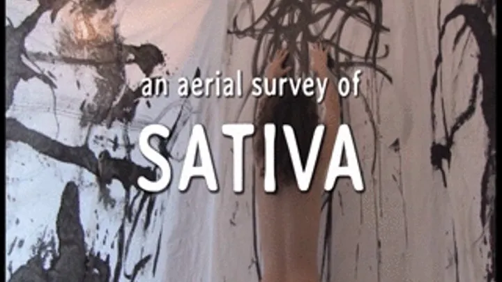 Aerial Survey of Hairy Sativa
