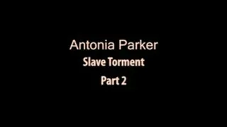 Antonia Parker - Slave Torment - Part 2