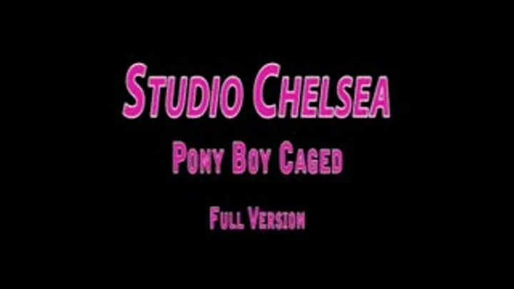 Studio Chelsea - Pony Boy Caged