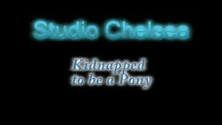 Studio Chelsea - To Be A Pony