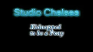 Studio Chelsea - To Be A Pony