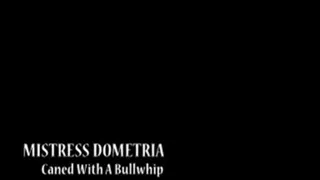 Mistress Dometria - Caned With A Bull Whip - Full Movie