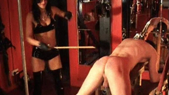 Mistress Dometria, A Callous Caning, Part 2