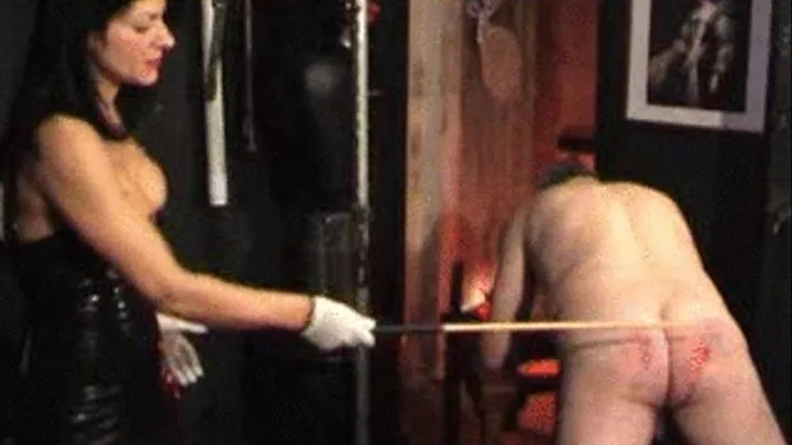 Mistress Dometria - A Savage Caning - Part 2