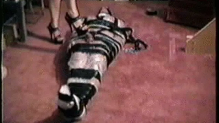 the mummy slave pt 6 bdsm