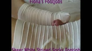 Sheer White Striped Socks Footjob