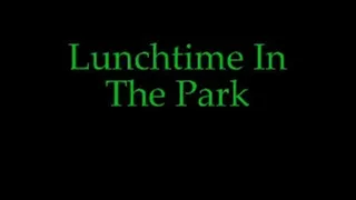 Lunchtime In The Park part 1 (med quality)