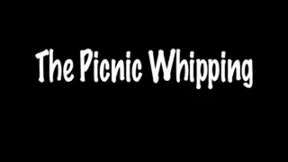 Extreme whipping at the picnic!