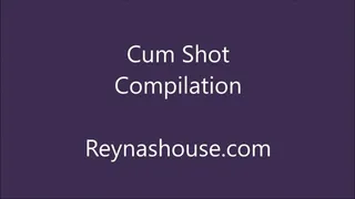 BBW Cum Shot Compilation