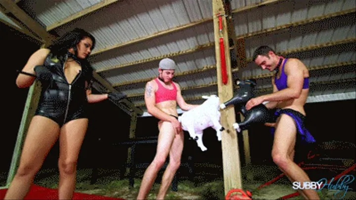 Hillbilly Sluts Part 3 Humiliation