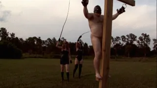 12 Foot Bullwhipping