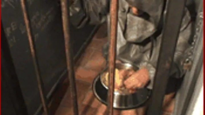 Hard punishment and humiliation in the cellar - part 6 video clip