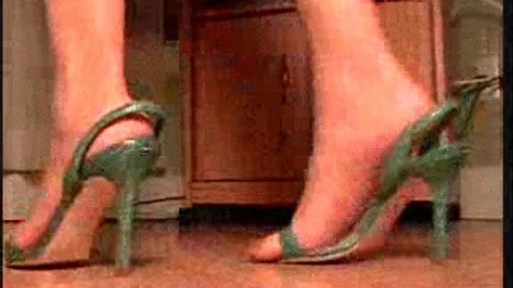 NOV 23 RD 2010 NEW SLINGBACK HEELS 2