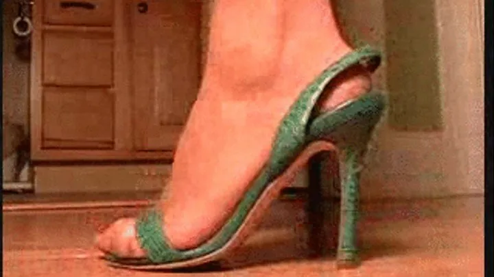 DECEMBER 2010 GREEN SLING BACKS 4