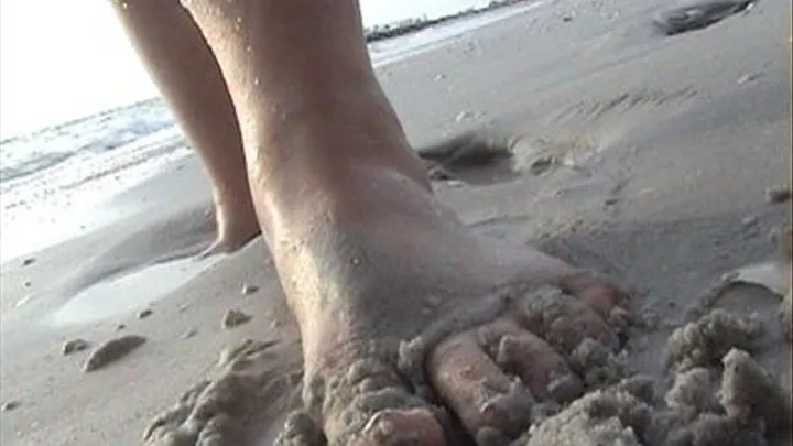 Wet Sandy Beach Feet