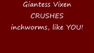 Goddess Vixen Crushes you inchworms!!