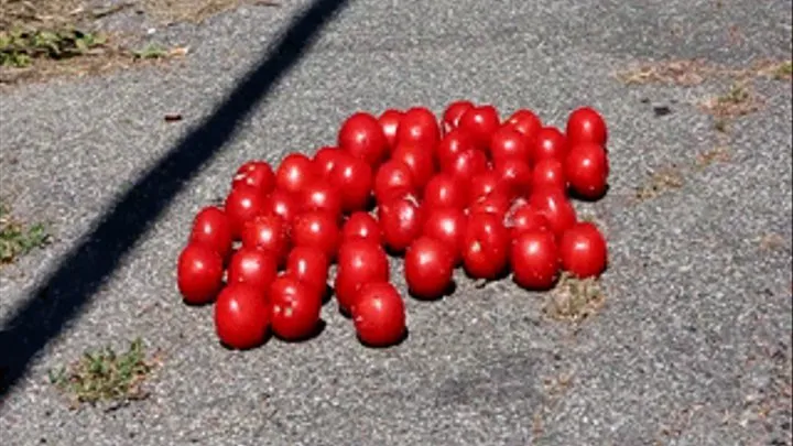 Cloe calpesta pomodori - Cloe tomato crushing