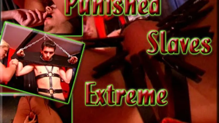 Punished Slaves Extreme