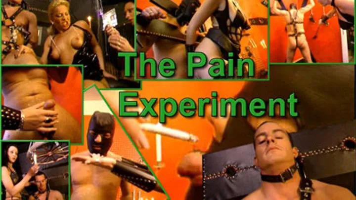 The Pain Experiment