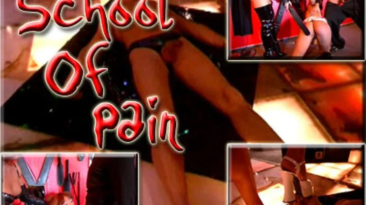 School Of Pain