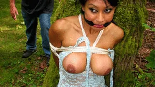 Sexy Asian Tied & Gagged in a Suitcase & Car Trunk & Chased Bound Thru the Woods!