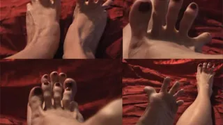 NEW MODEL SABRINA FOX TOE SPREADS (L)