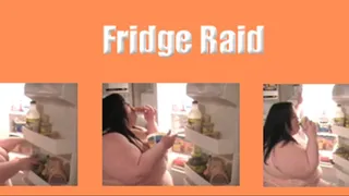 Fridge Raid