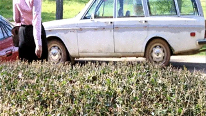 Jane Domino Can't Get the Volvo to Start While You Watch Her Crank Through a Window - Custom 977