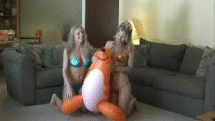 INFLATABLES - Brianna and I destroy a seal BIG