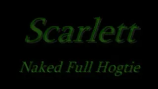 Scarlett's FULL hogtie